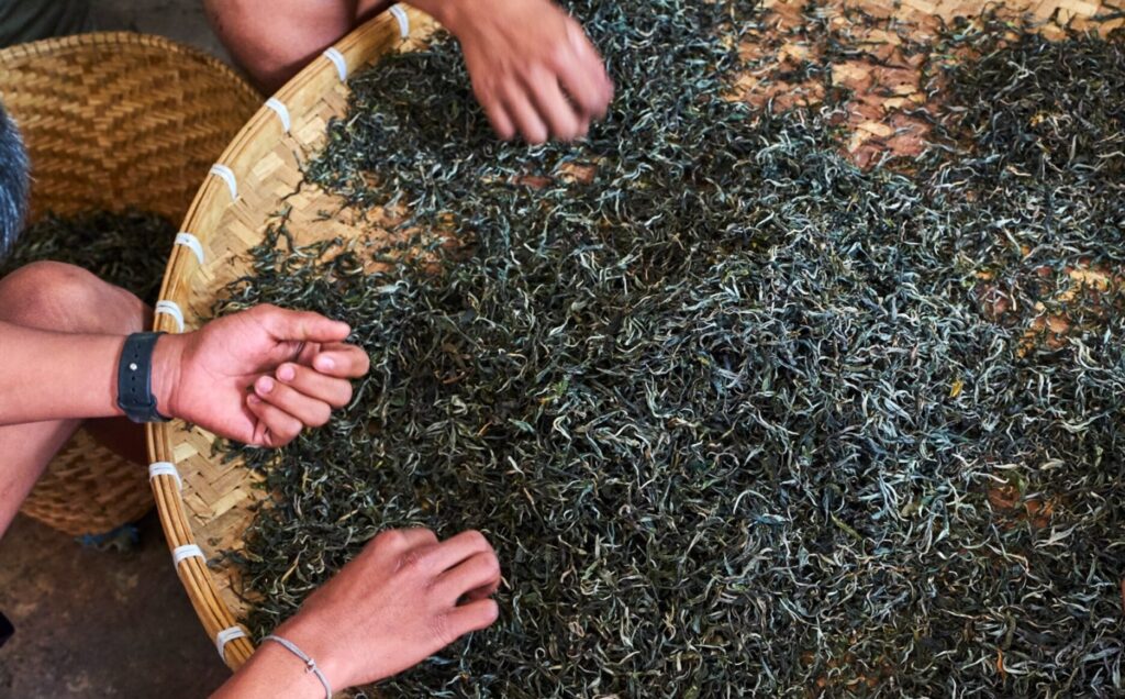 How is Chinese Black Tea Made Drying and Sorting