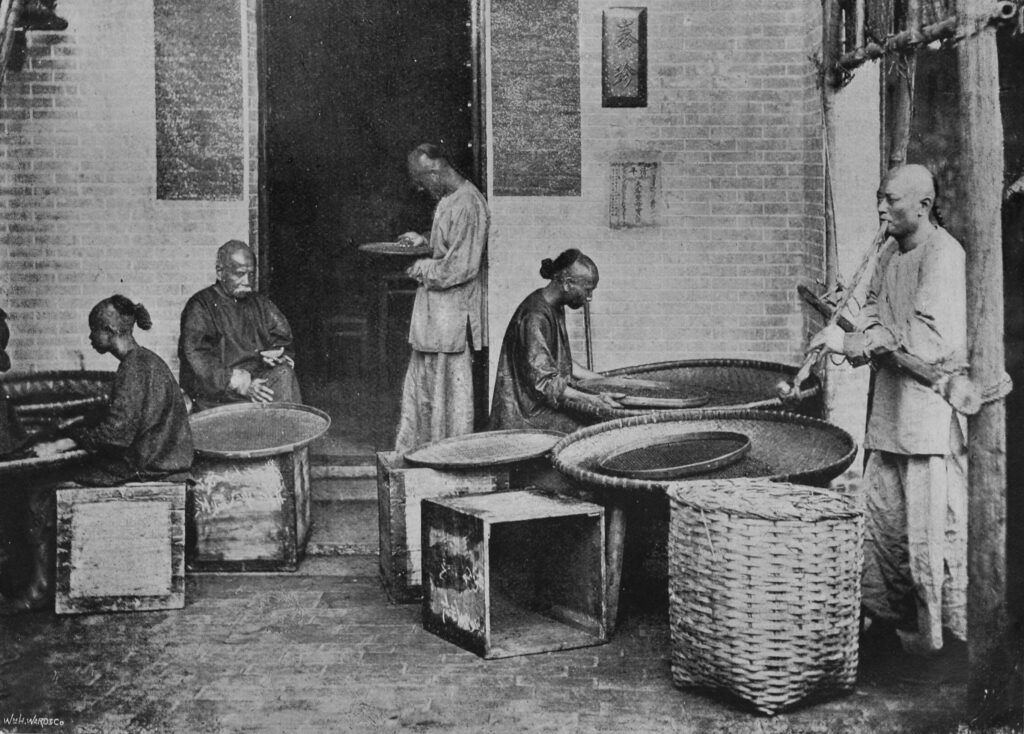The History of Black Tea in China